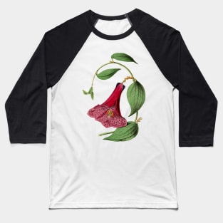 Bell Flower-1800-1900 Baseball T-Shirt
